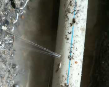 卫滨卫生间测漏水多少钱