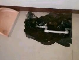 卫滨卫生间测漏水多少钱
